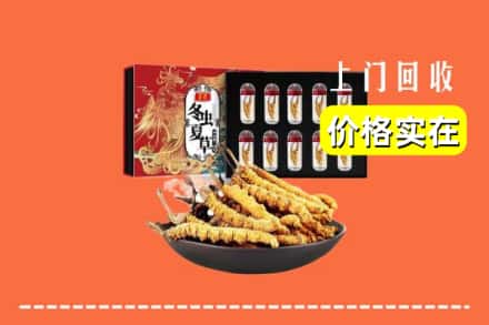 辽阳太子河区回收冬虫夏草